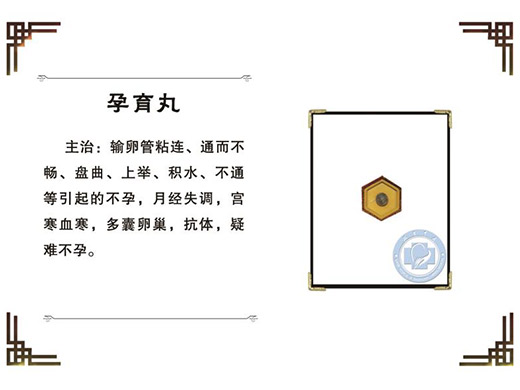 赵氏妇科医药文化